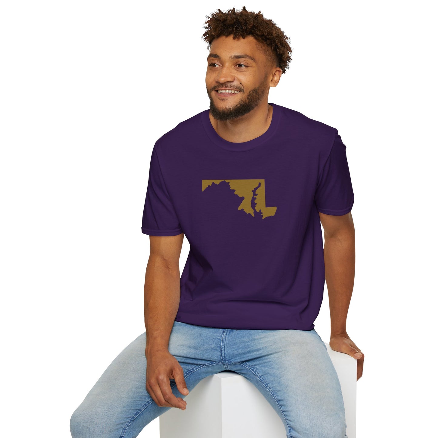Baltimore Pro Football Unisex Softstyle T-Shirt - Casual State Pride Tee