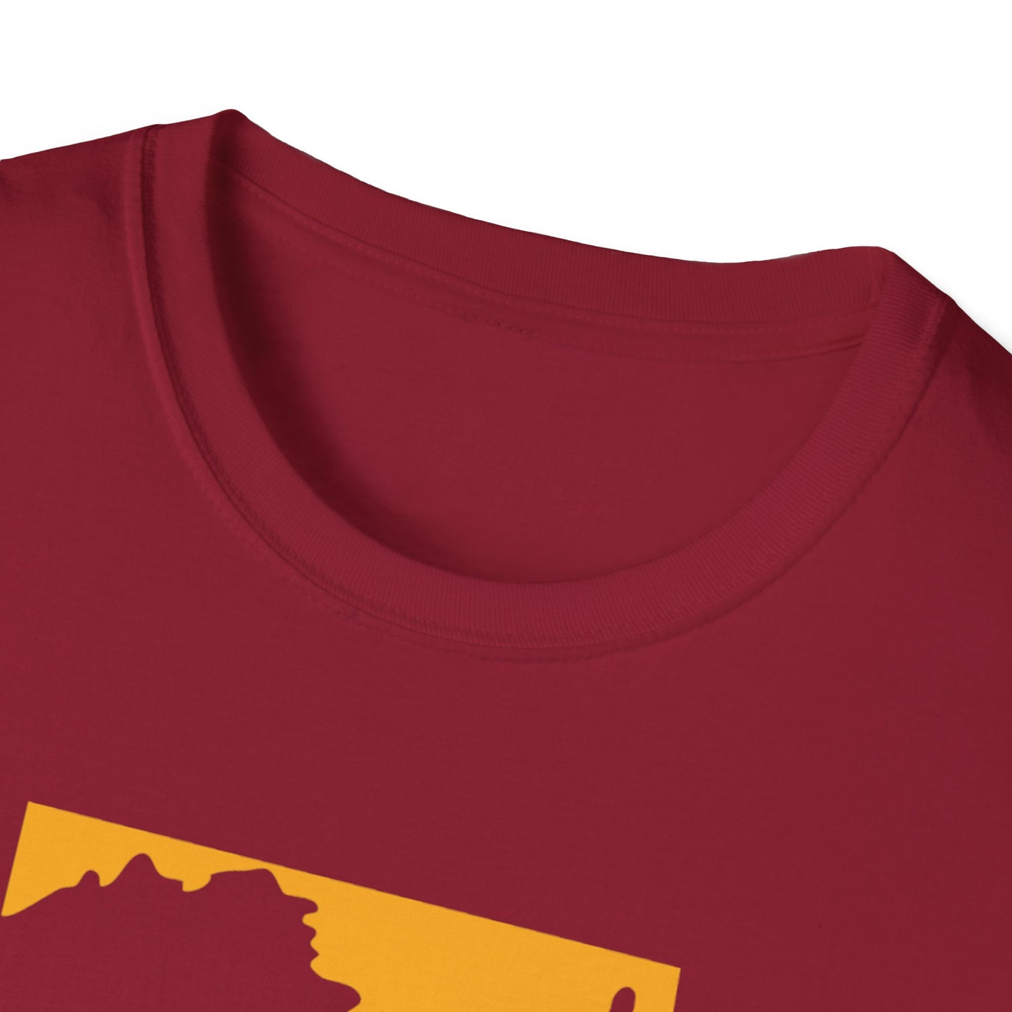 WSH Pro Football Softstyle T-Shirt