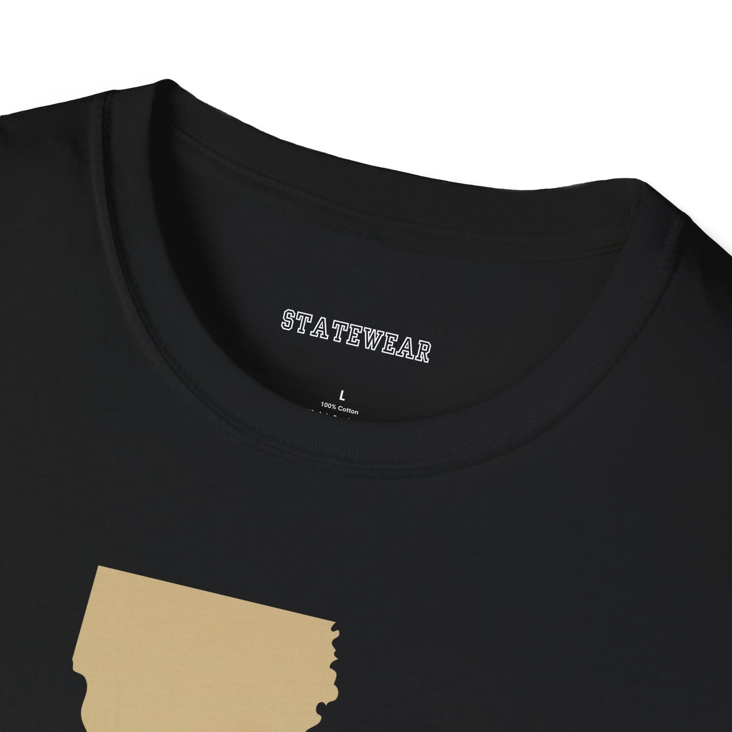 New Orleans Pro Football Unisex Softstyle T-Shirt