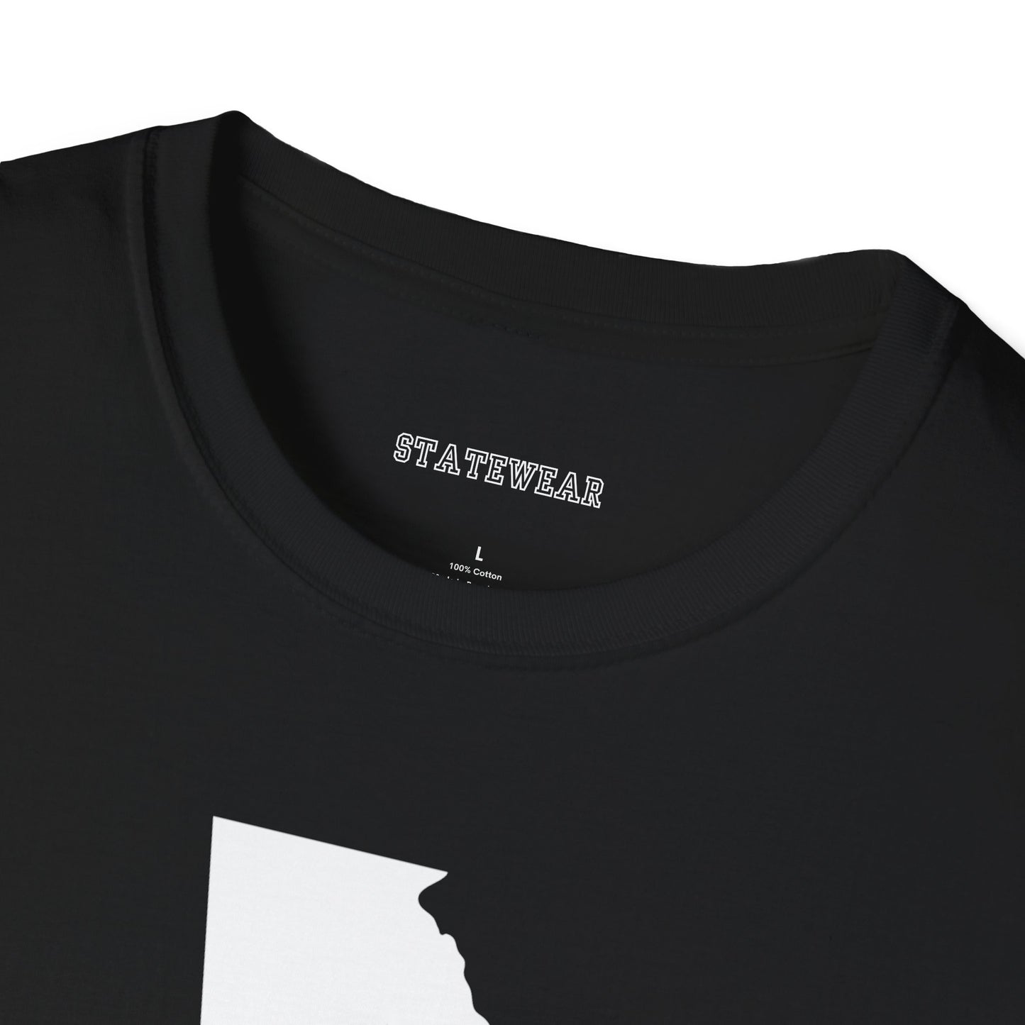 Atlanta Pro Football Unisex Softstyle T-Shirt