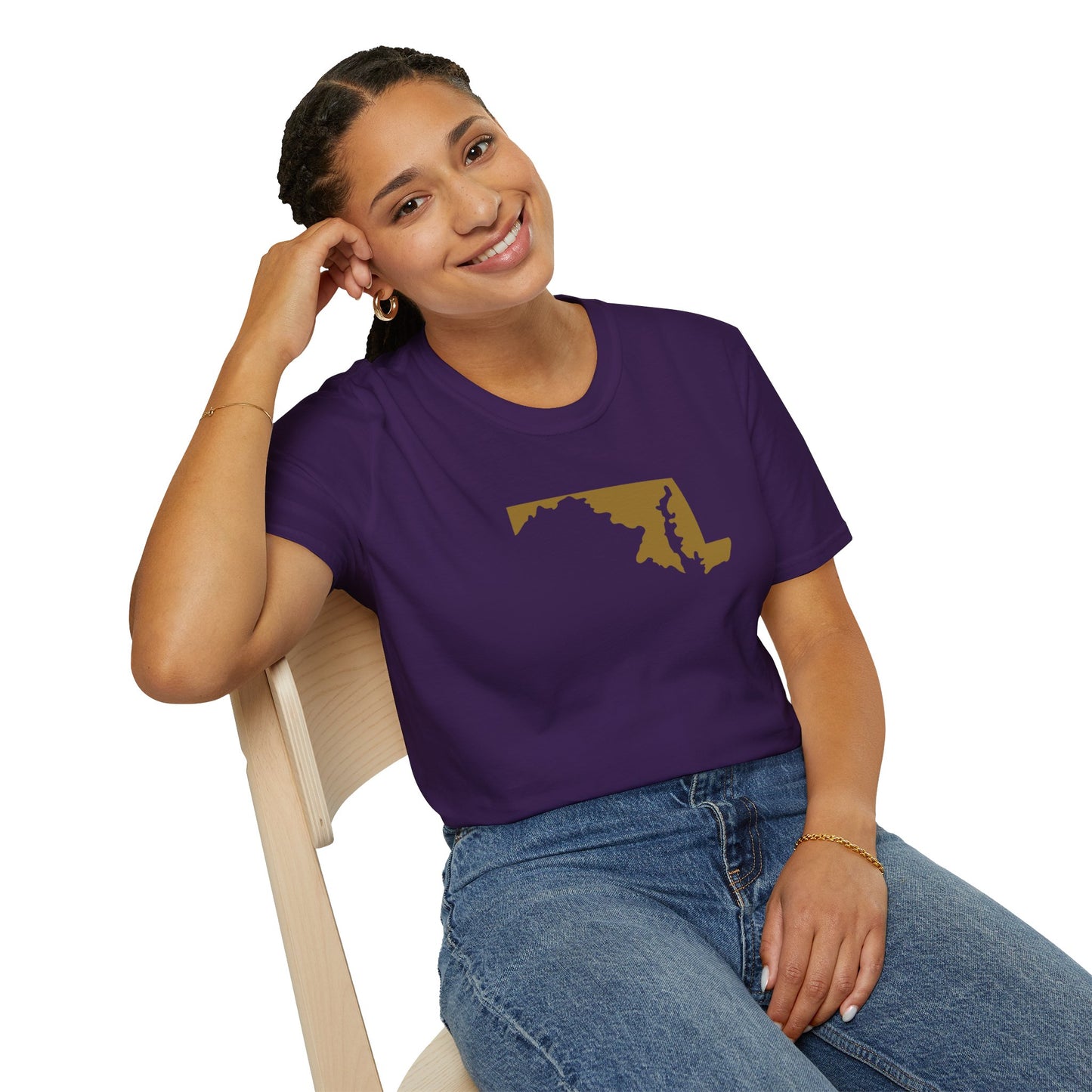 Baltimore Pro Football Unisex Softstyle T-Shirt - Casual State Pride Tee