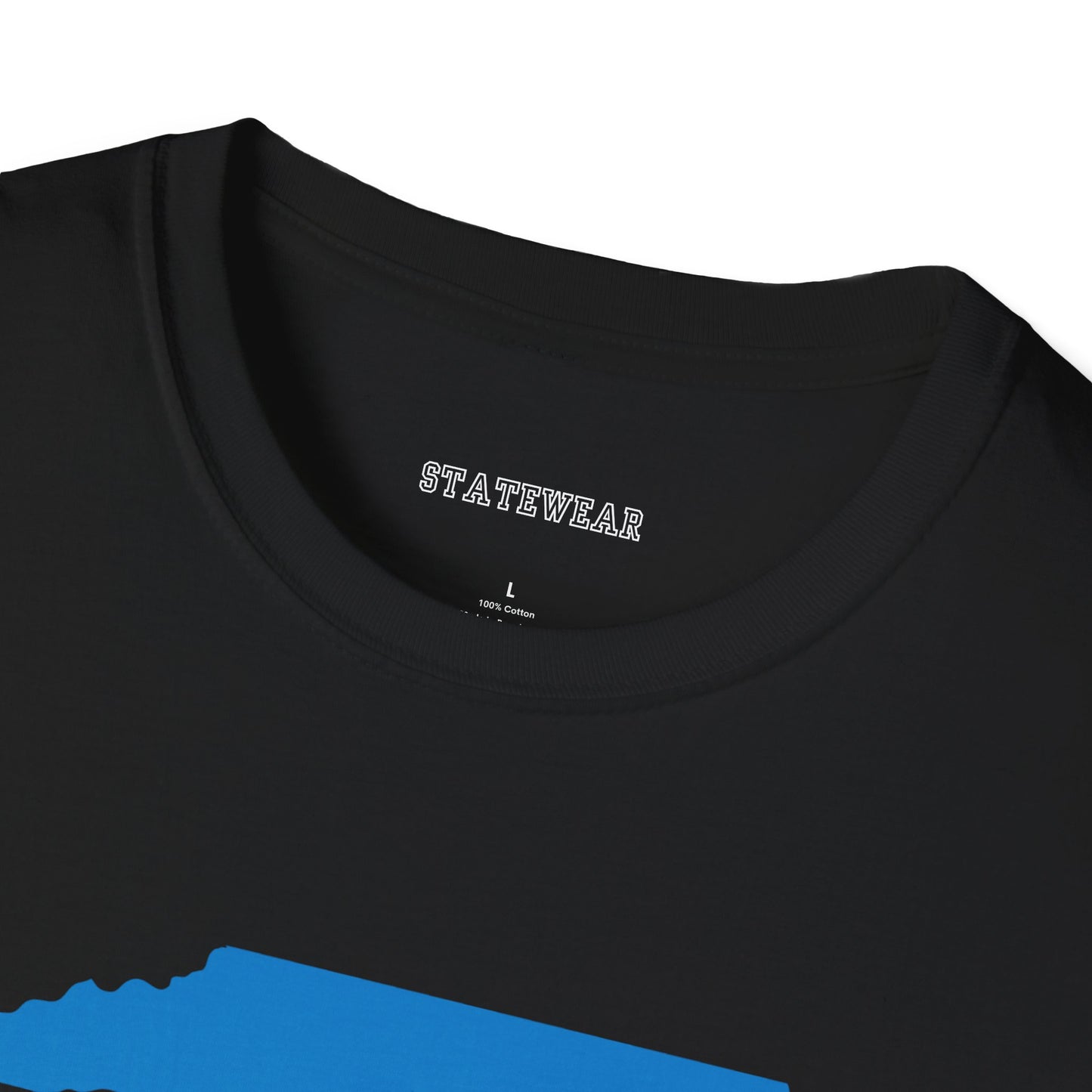NC Pro Football Unisex Softstyle T-Shirt