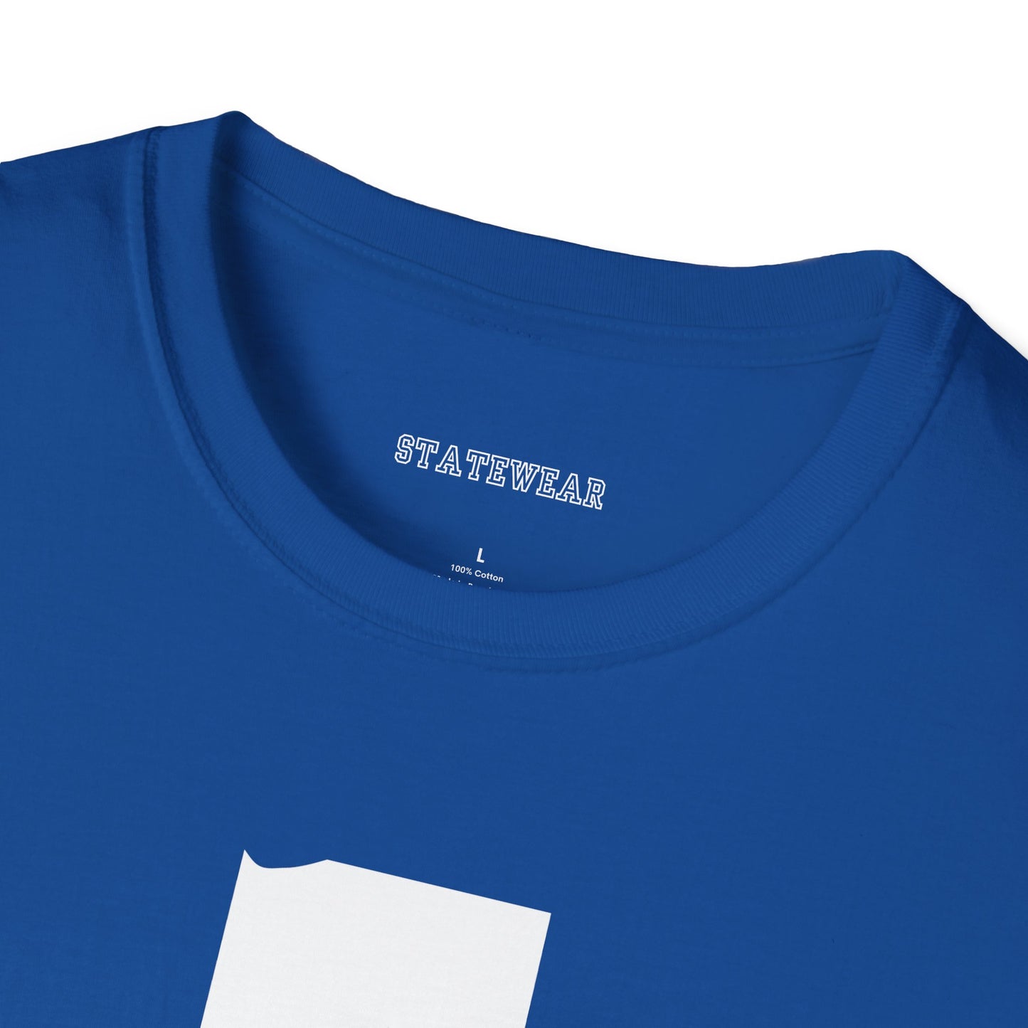 Indianapolis Pro Football Unisex Softstyle T-Shirt