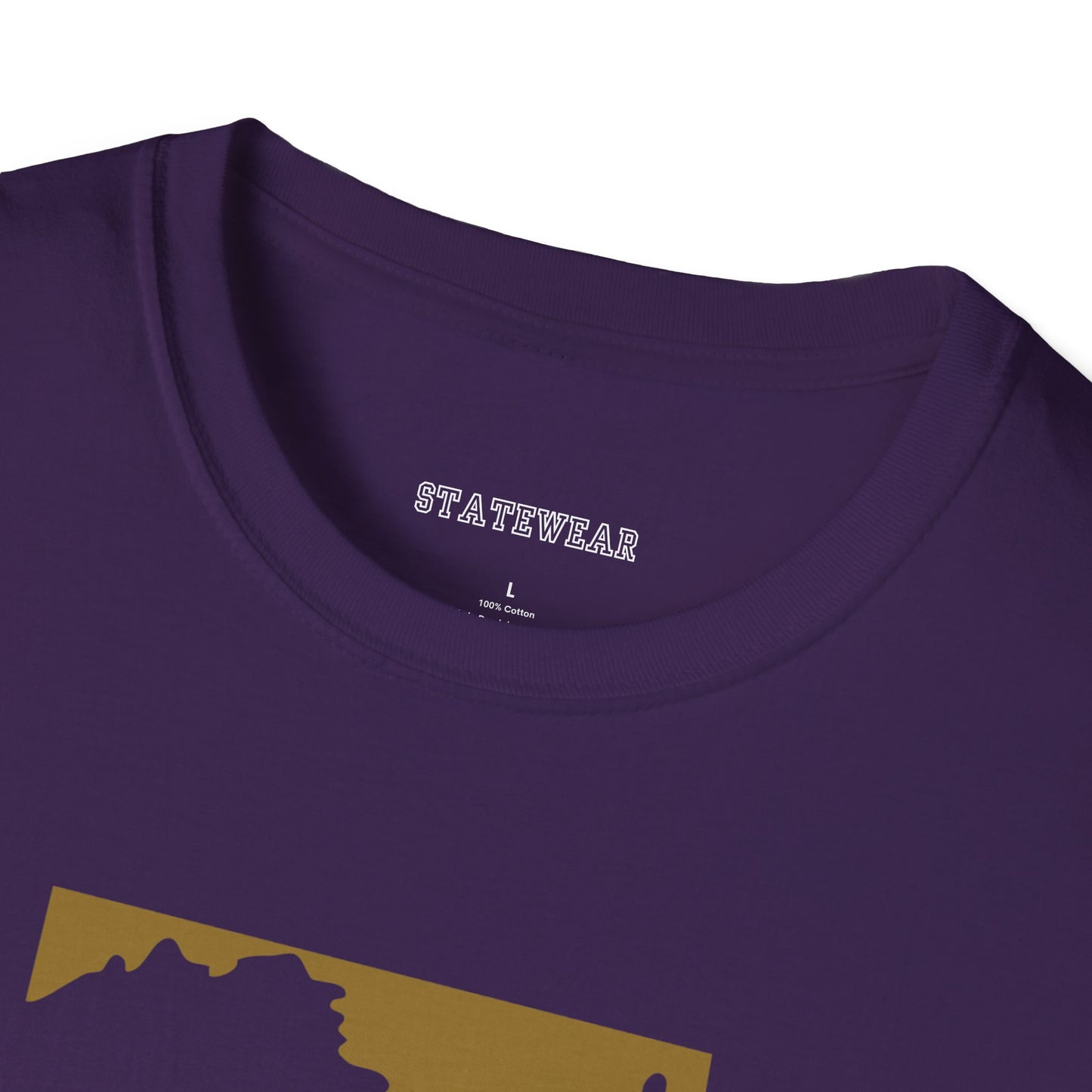 Baltimore Pro Football Unisex Softstyle T-Shirt - Casual State Pride Tee