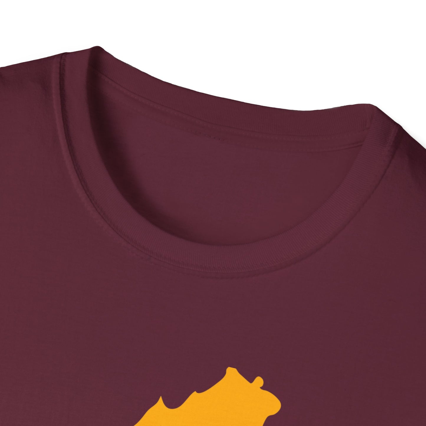 WSH Commanders Softstyle T-Shirt