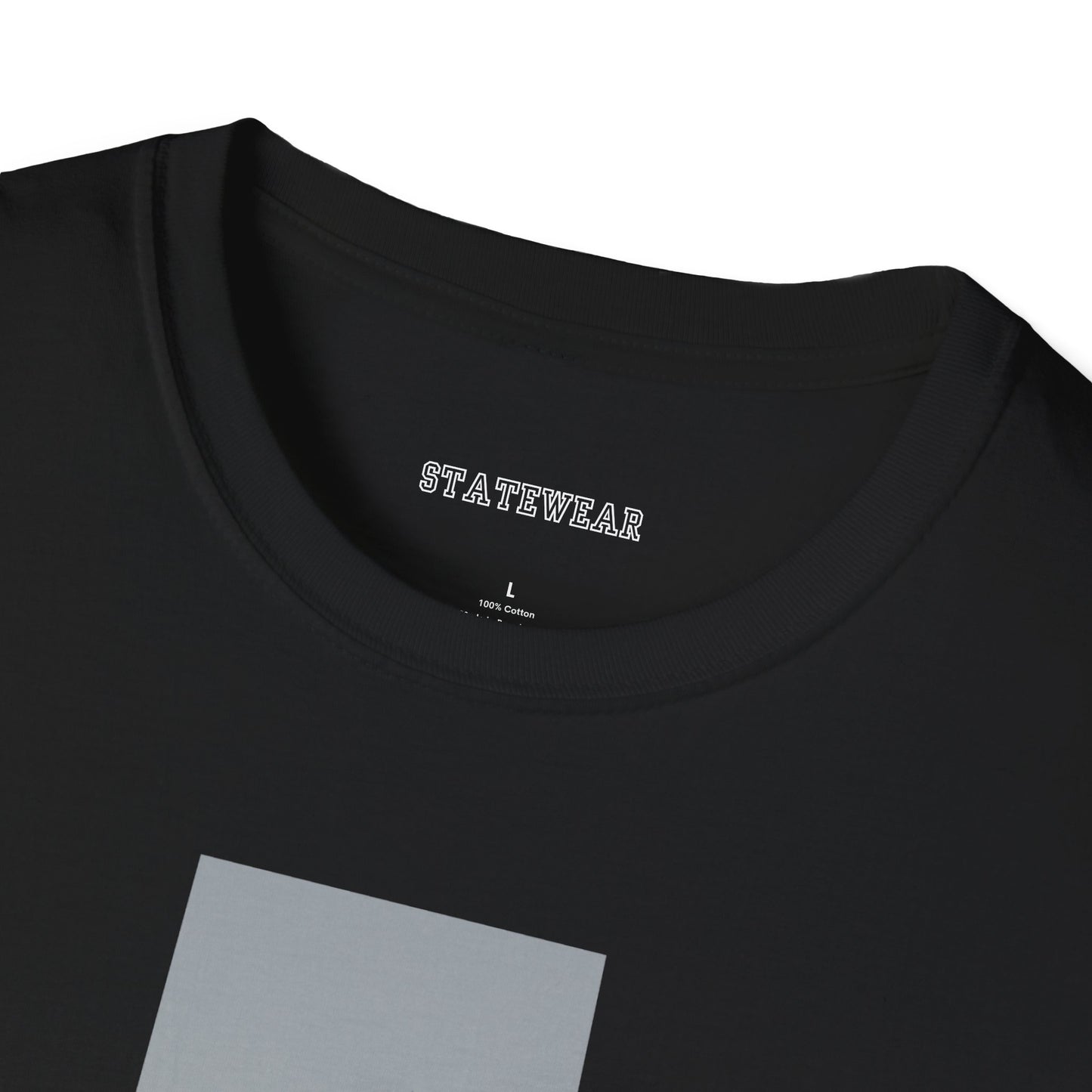 Las Vegas Pro Football Unisex Softstyle T-Shirt
