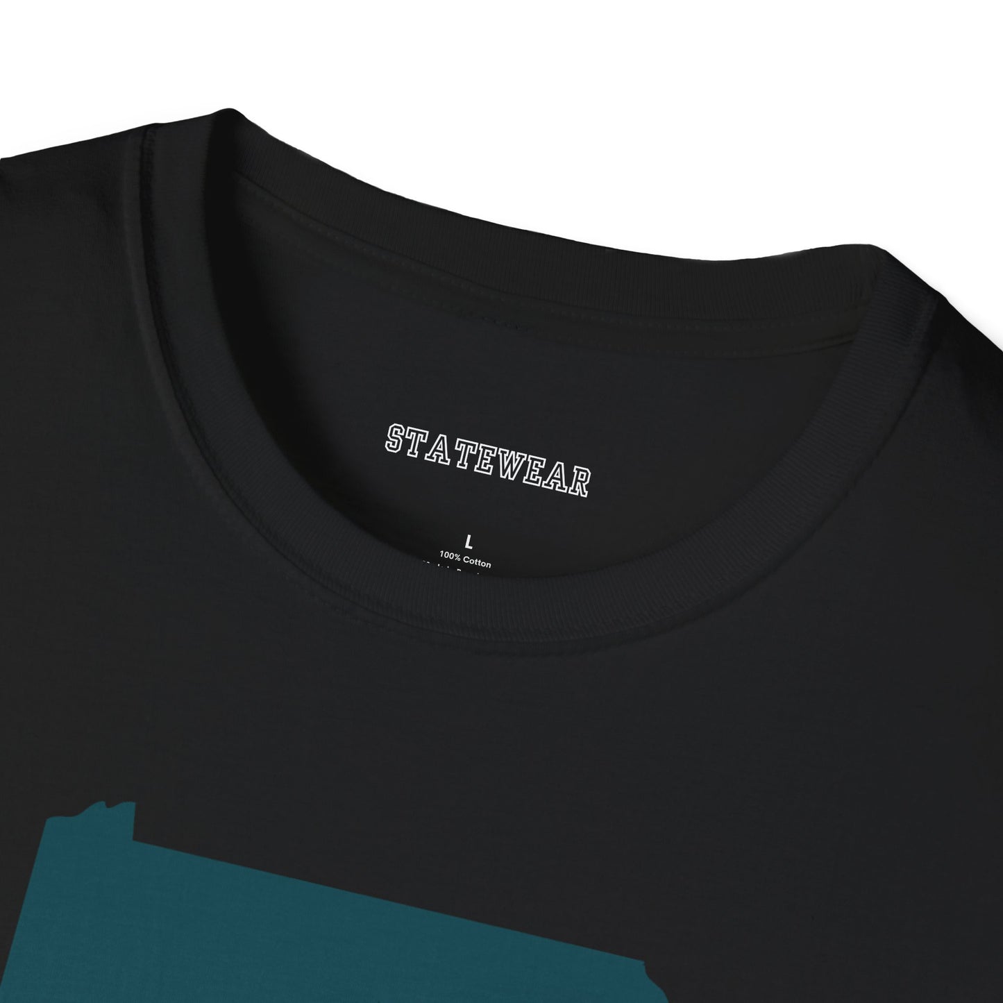 Philadelphia Pro Football Unisex Softstyle T-Shirt