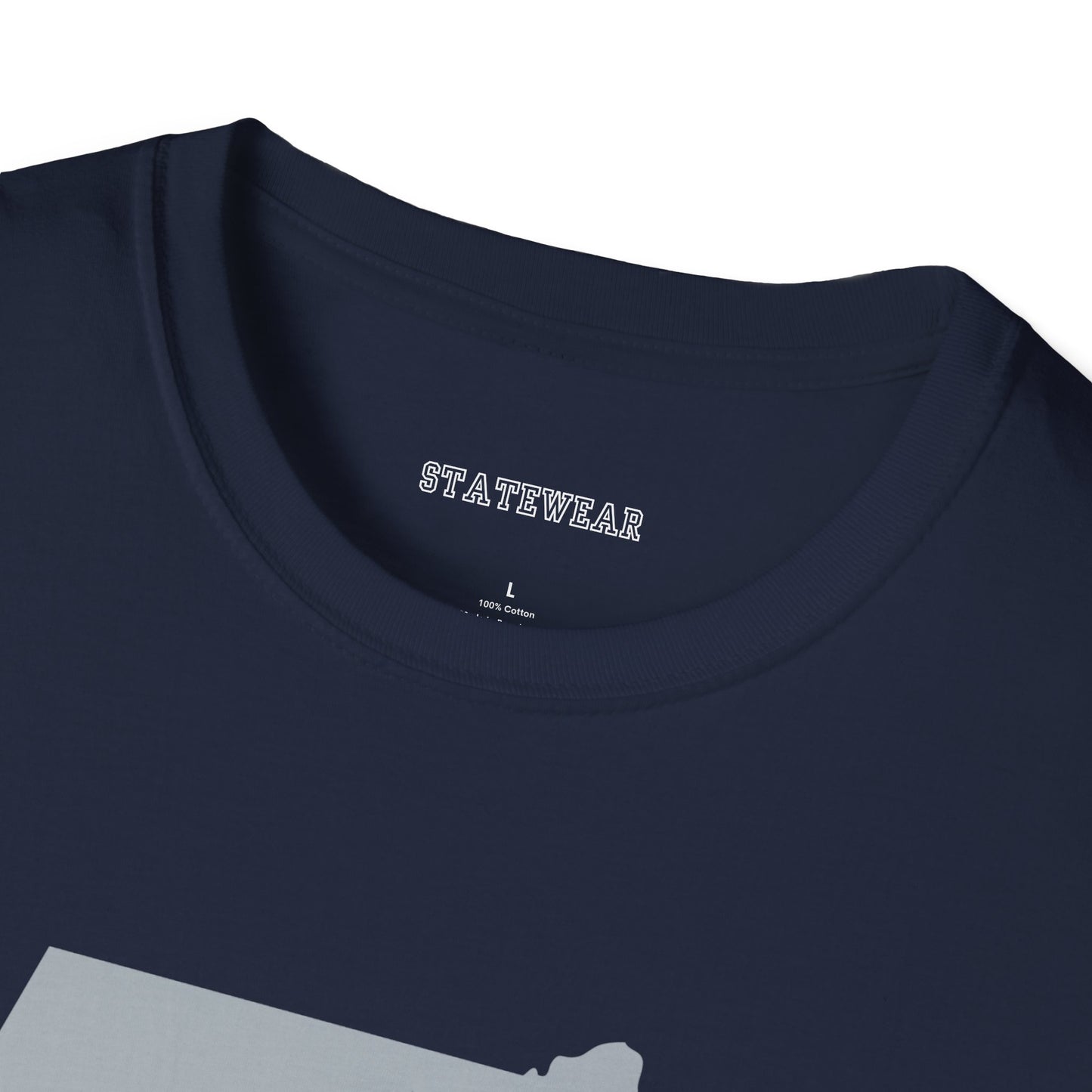 New England Pro Football Unisex Softstyle T-Shirt