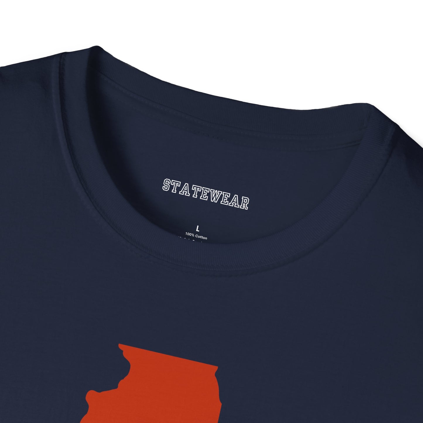 Chicago Pro Football Unisex Softstyle T-Shirt