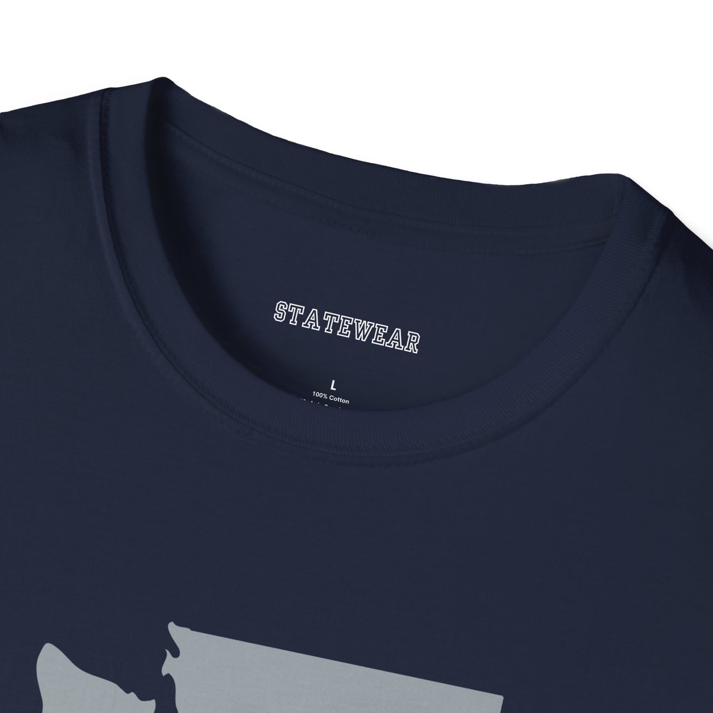 Seattle Pro Football Unisex Softstyle T-Shirt