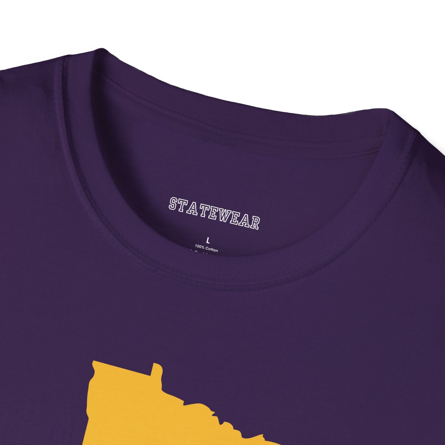 Minnesota Pro Football Unisex Softstyle T-Shirt