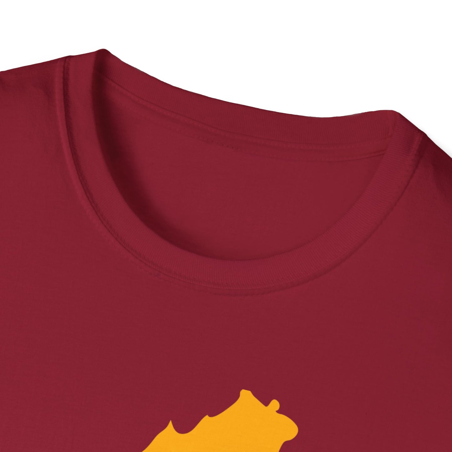 WSH Commanders Softstyle T-Shirt