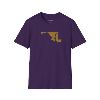 Baltimore Pro Football Unisex Softstyle T-Shirt - Casual State Pride Tee