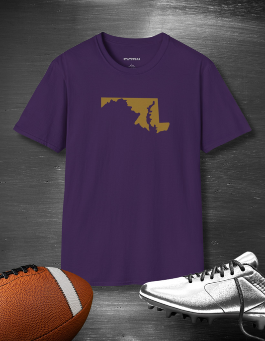 Baltimore Pro Football Unisex Softstyle T-Shirt - Casual State Pride Tee